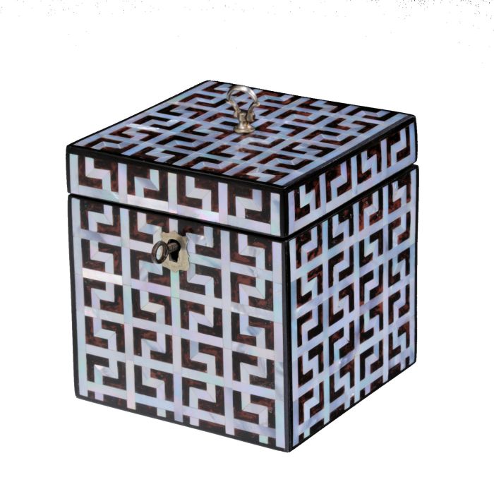 FIND UNUSUAL ANTIQUE TEA CADDY IN TORTOISESHELL AND MOTHER OF PEARL